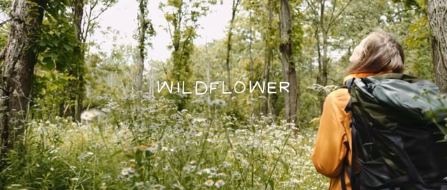 Wildflower