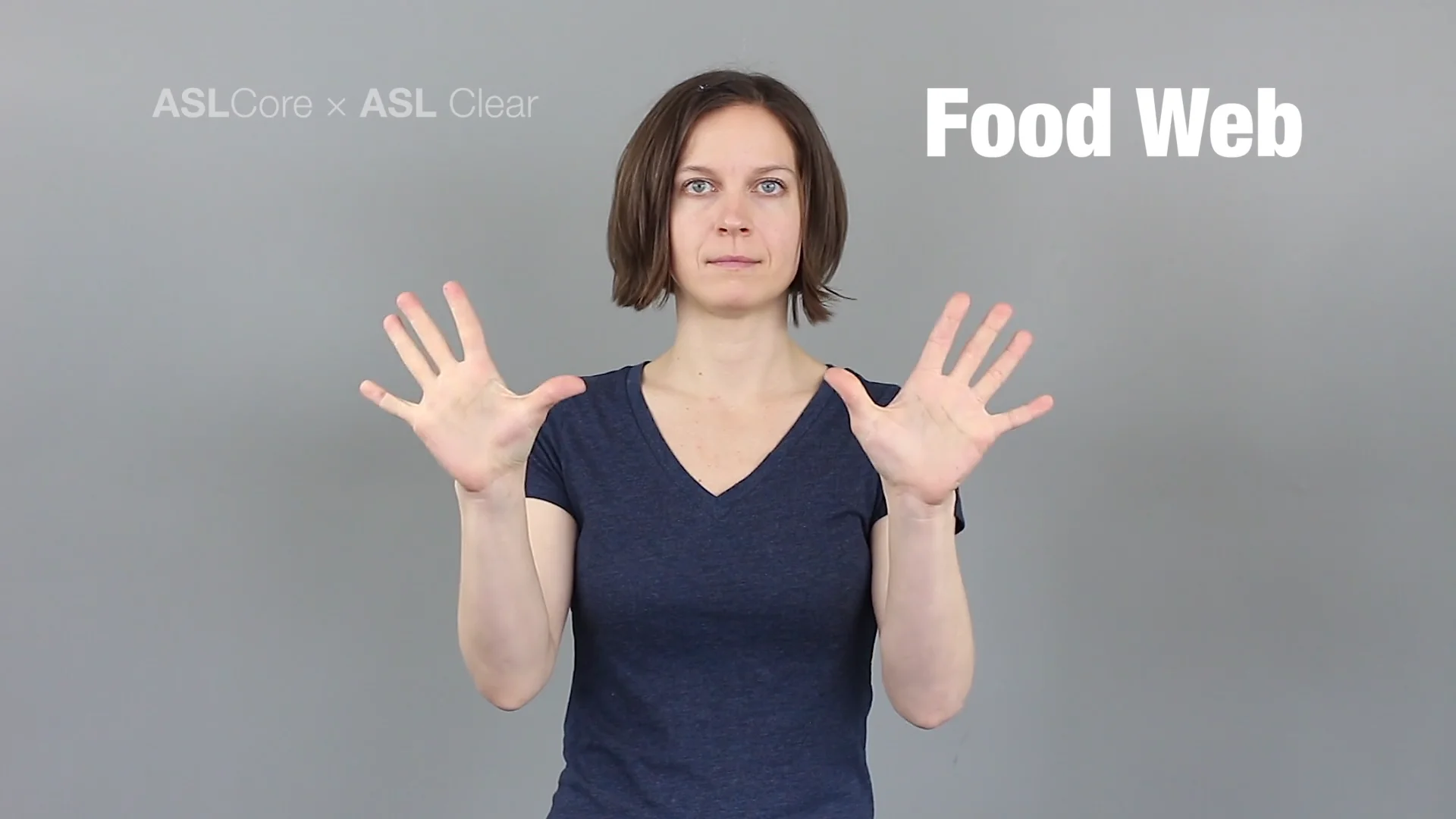 Food Web | ASLCORE Biology