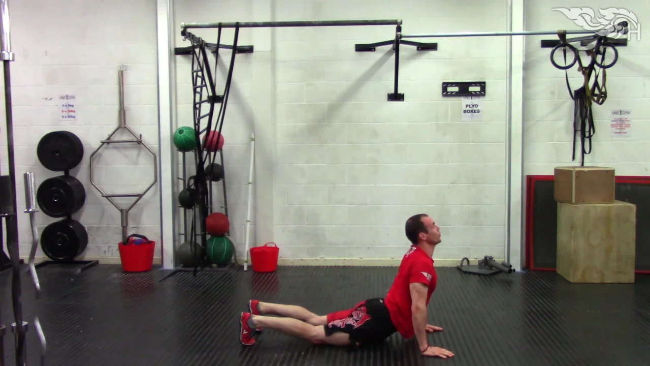 Dynamic Mobility/Movement Prep Example - Inch Worm on Vimeo