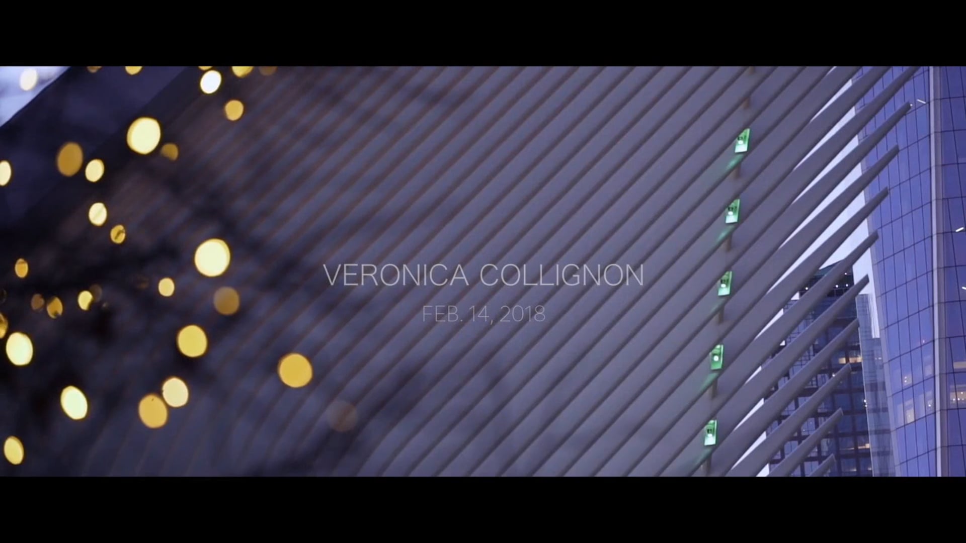 Valentine's Day Links of London - Veronica Collignon