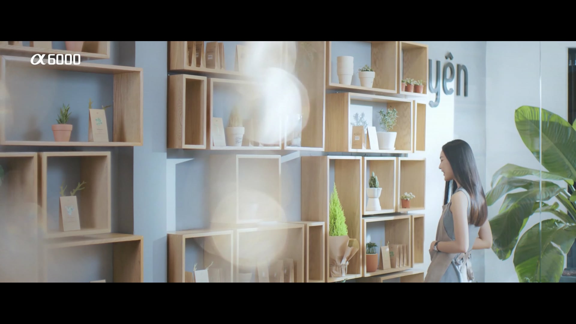 Sony A600 (commercial)