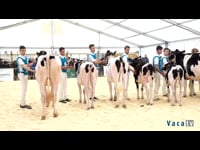 Concurso de manejadores