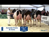 Mejor lote por asociación