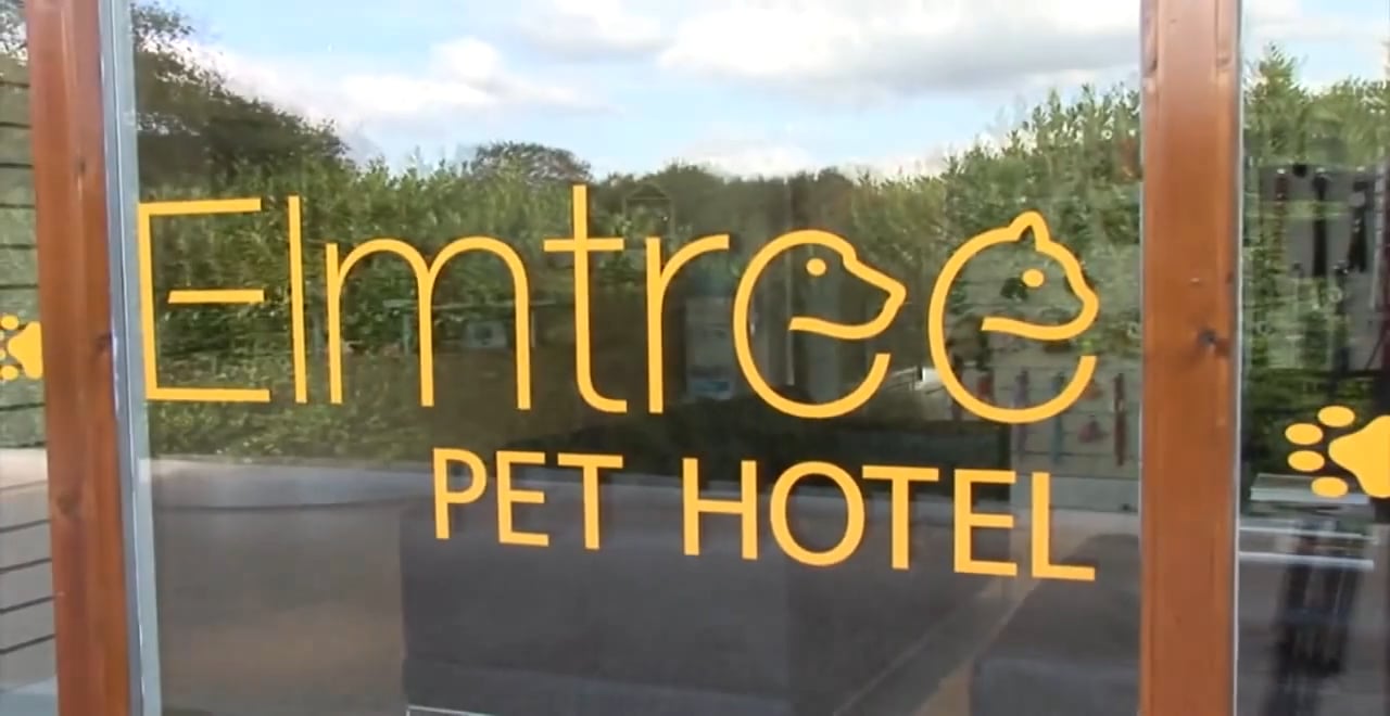 Elmtree Pet Hotel A 5 Star Hotel... For Your Pet! on Vimeo