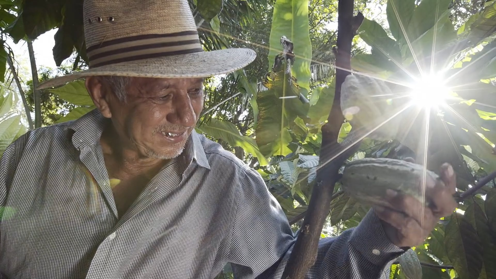 Documental Corporativo