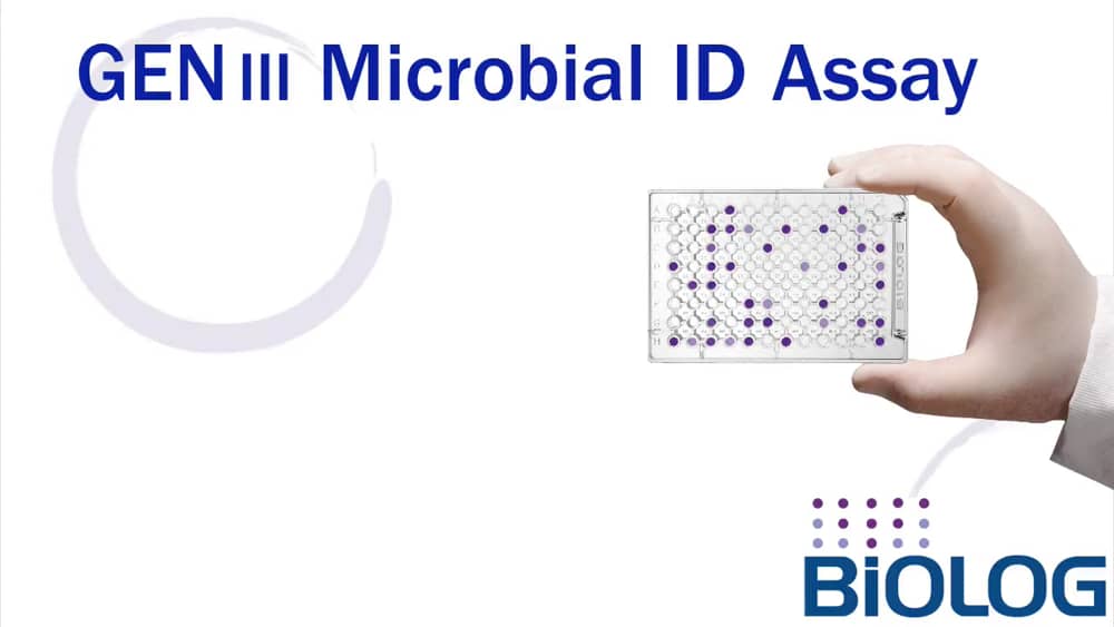 Microbial Identification Biolog