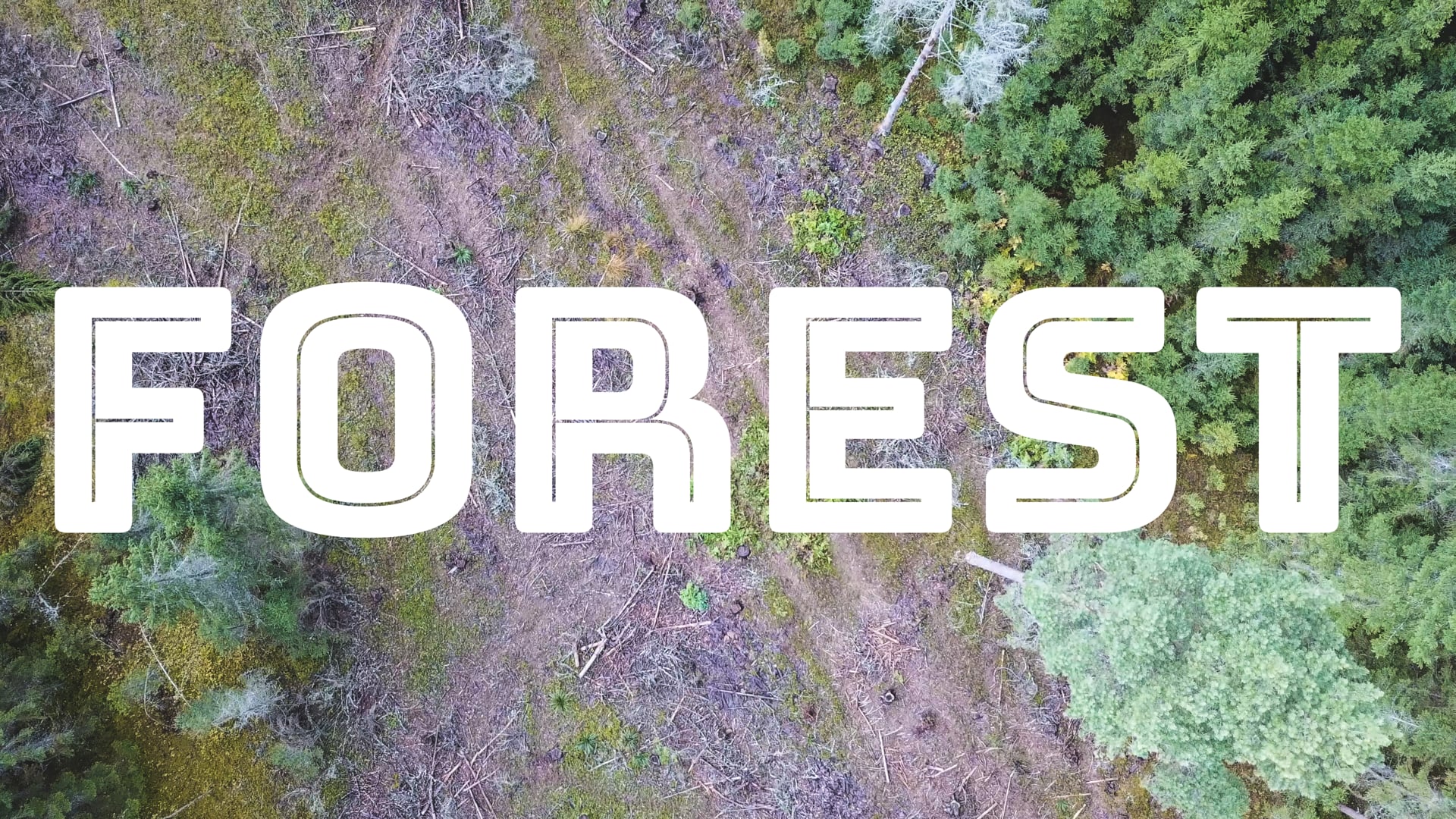 FOREST 2018 Documentary