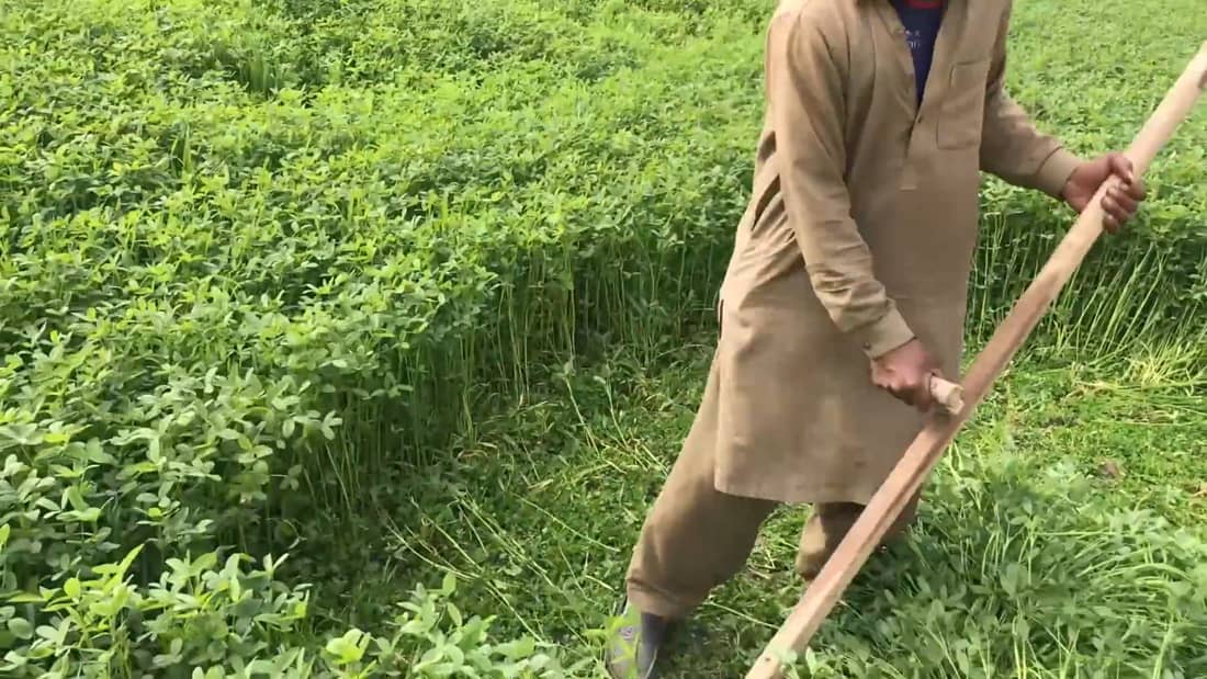 A Pied Au Pakistan Essayant D 39 Eviter Un Monde En Mouvement Out Of Eden Walk