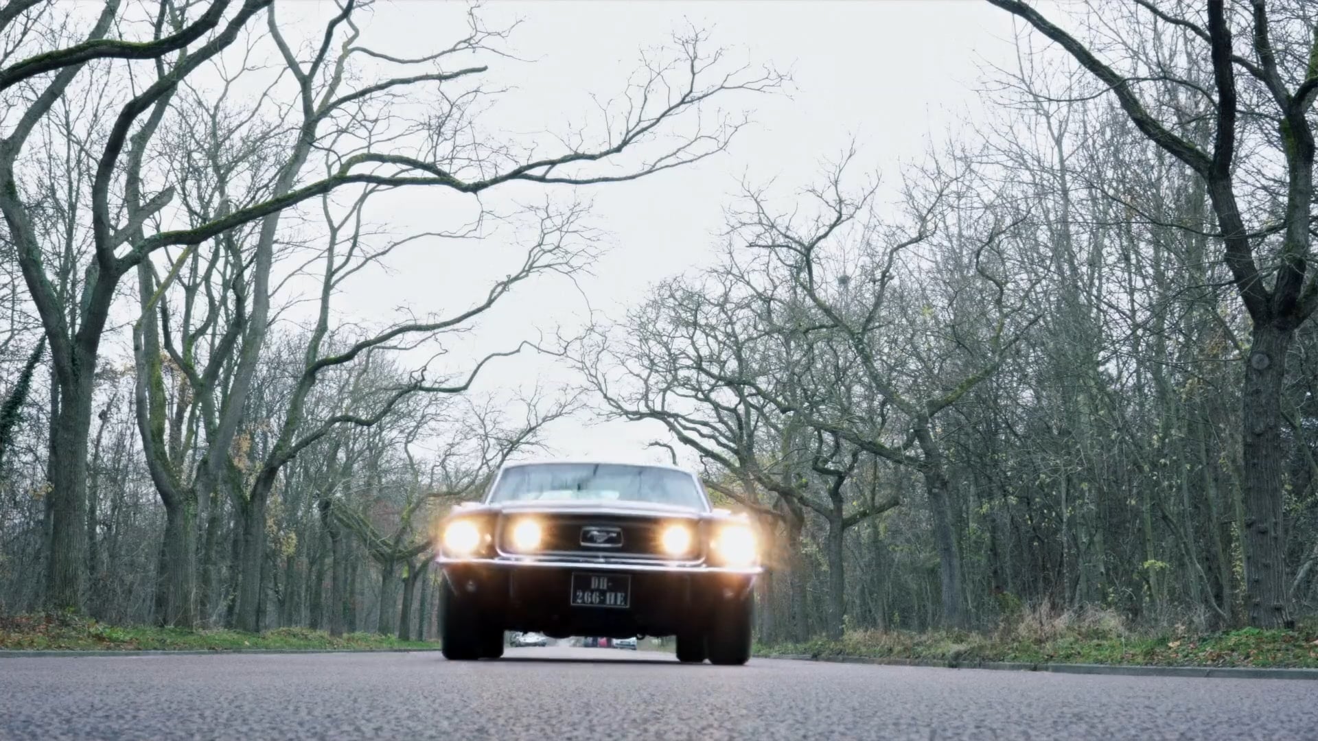 En Ford Mustang