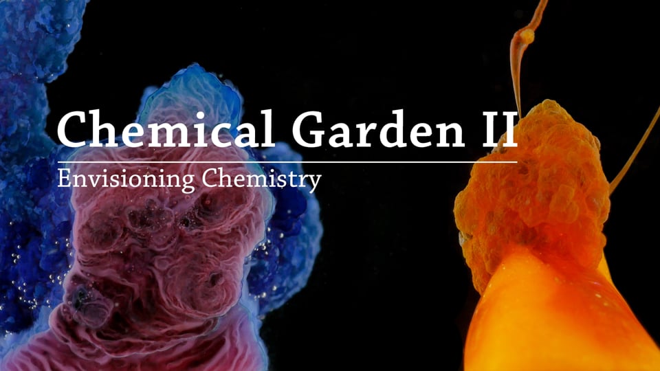 Envisioning Chemistry: Chemical Garden II