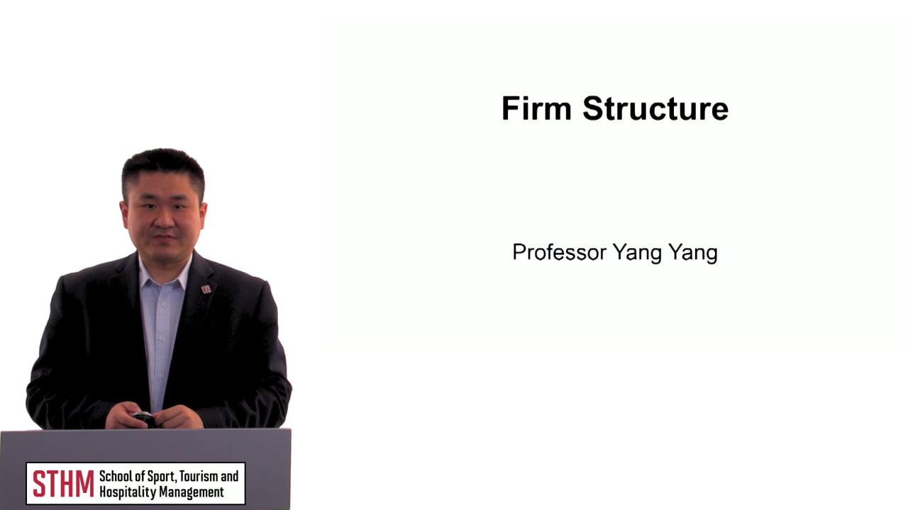 Firm Structure