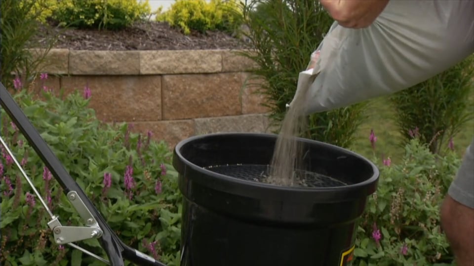 Tips from Toby Spring Lawn Catch Up