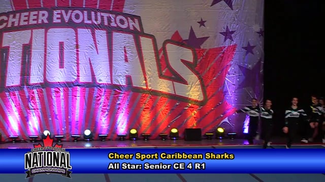 Cheer Sport Caribbean Sharks Senior CE 4 R1