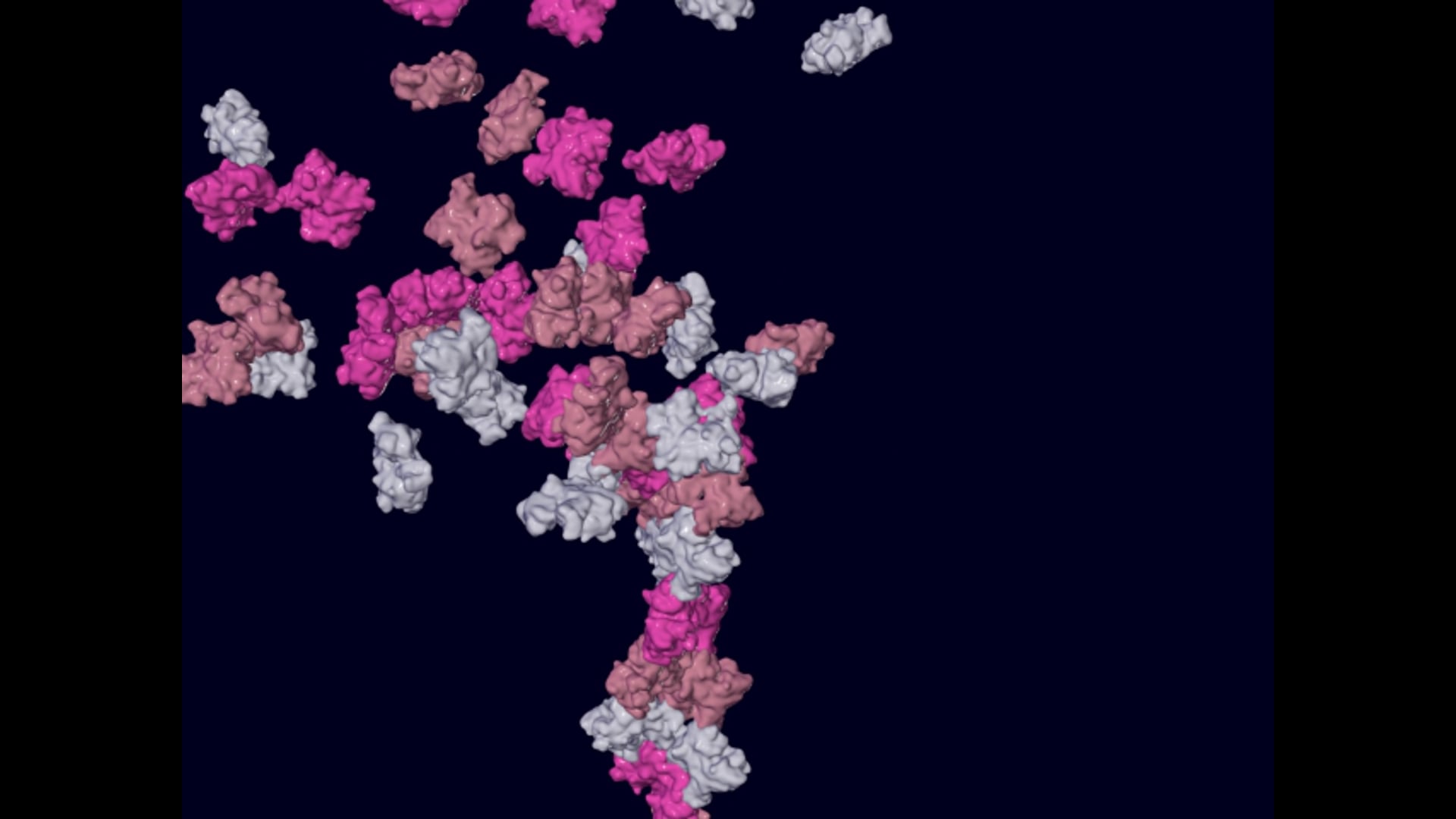 Actin Test