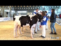 Terneras hasta 8 meses