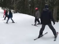 Beginner skiers in the forest - #HGABRSkiSports2018