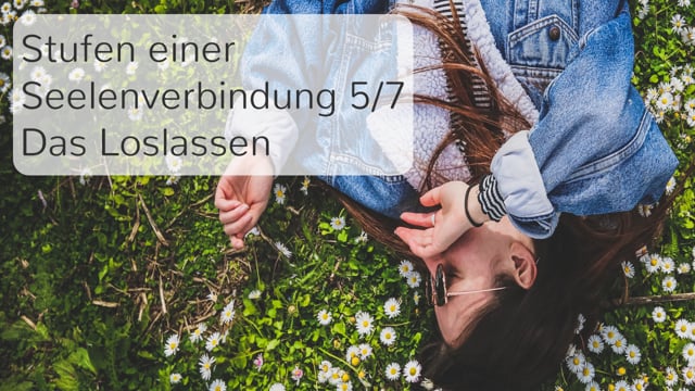 Stufe 5 - Das Loslassen