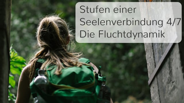 Stufe 4 - Die Fluchtdynamik
