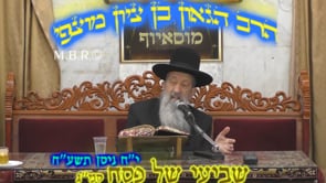 שביעי של פסח שמיני תשעח