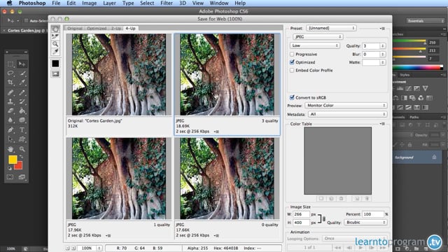 Module 08: Preparing Your Image for Printing or Sending via Internet. - Video Thumbnail