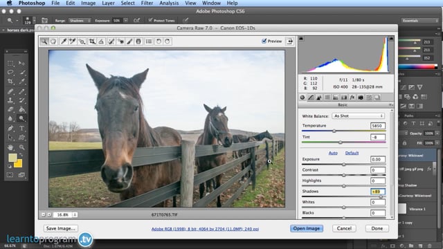 Module 14: Brightness and Contrast Settings (1) - Video Thumbnail