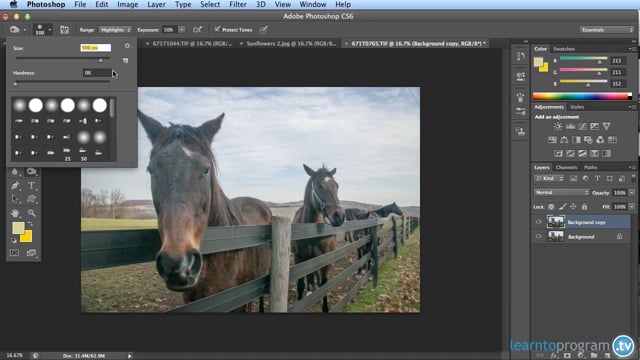 Module 15: Brightness and Contrast Settings (2) - Video Thumbnail