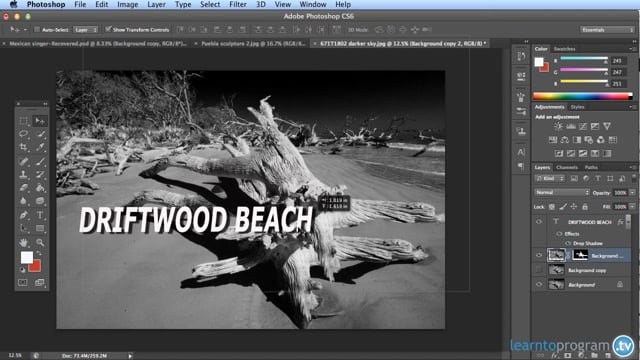 Module 29: Using Text (2) - Video Thumbnail