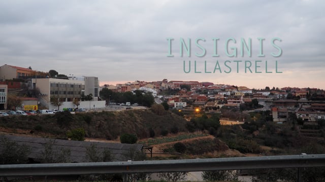 Insignis