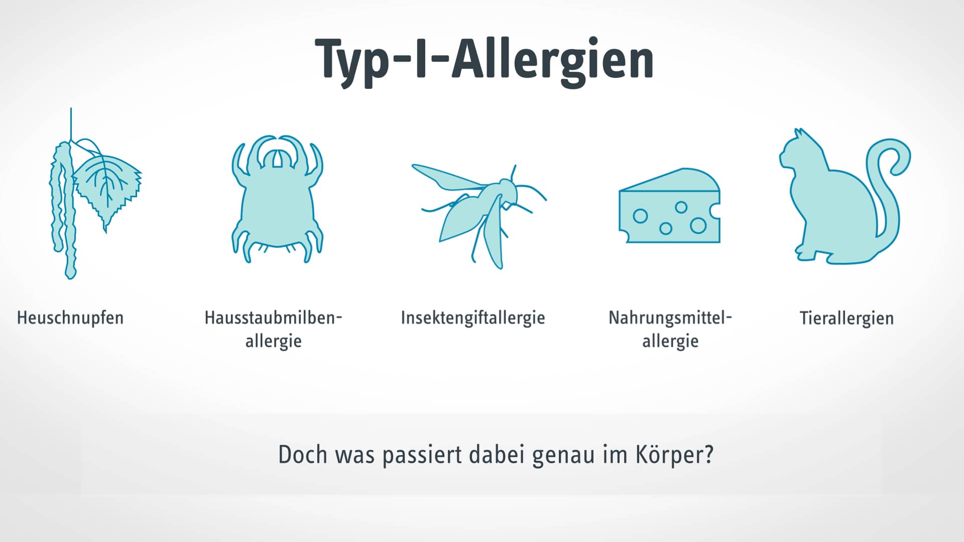 Entstehung einer Allergie on Vimeo