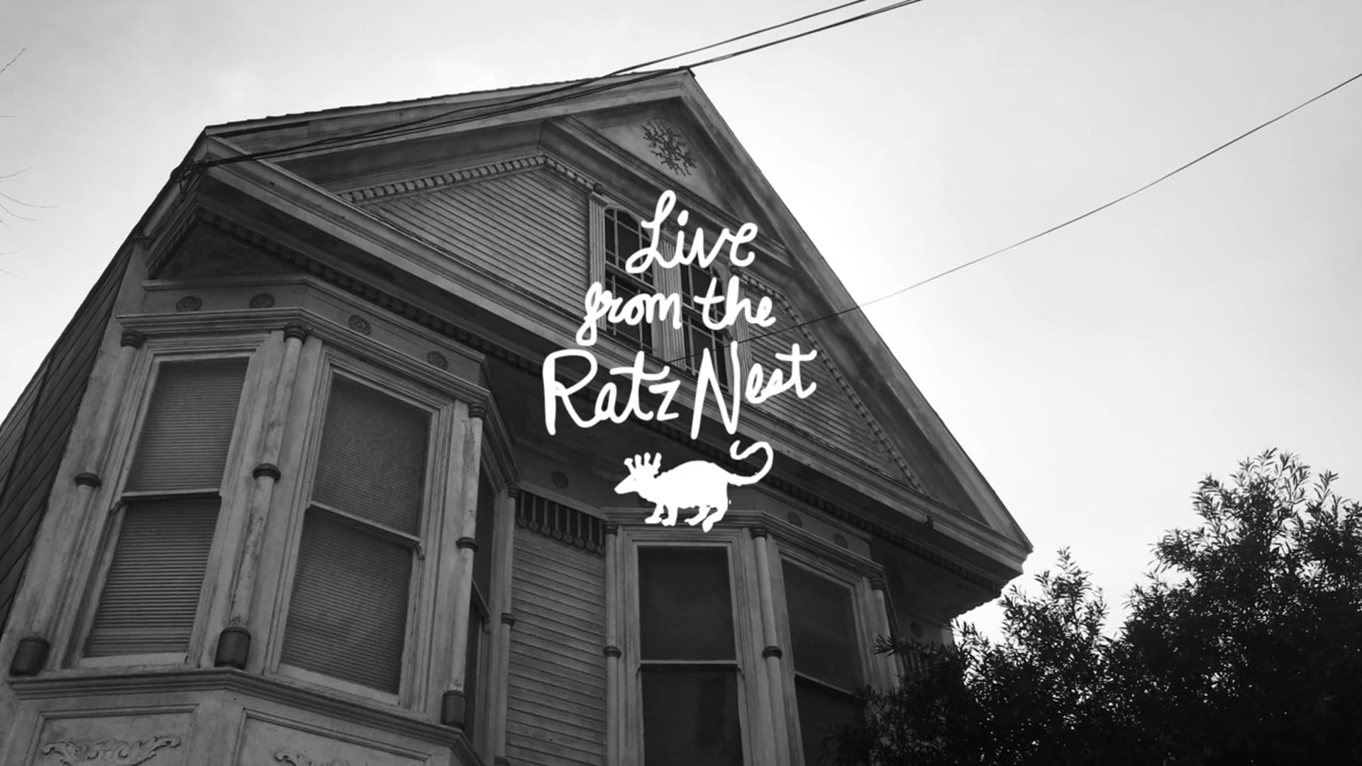 Windy Hill - You'll Never Know