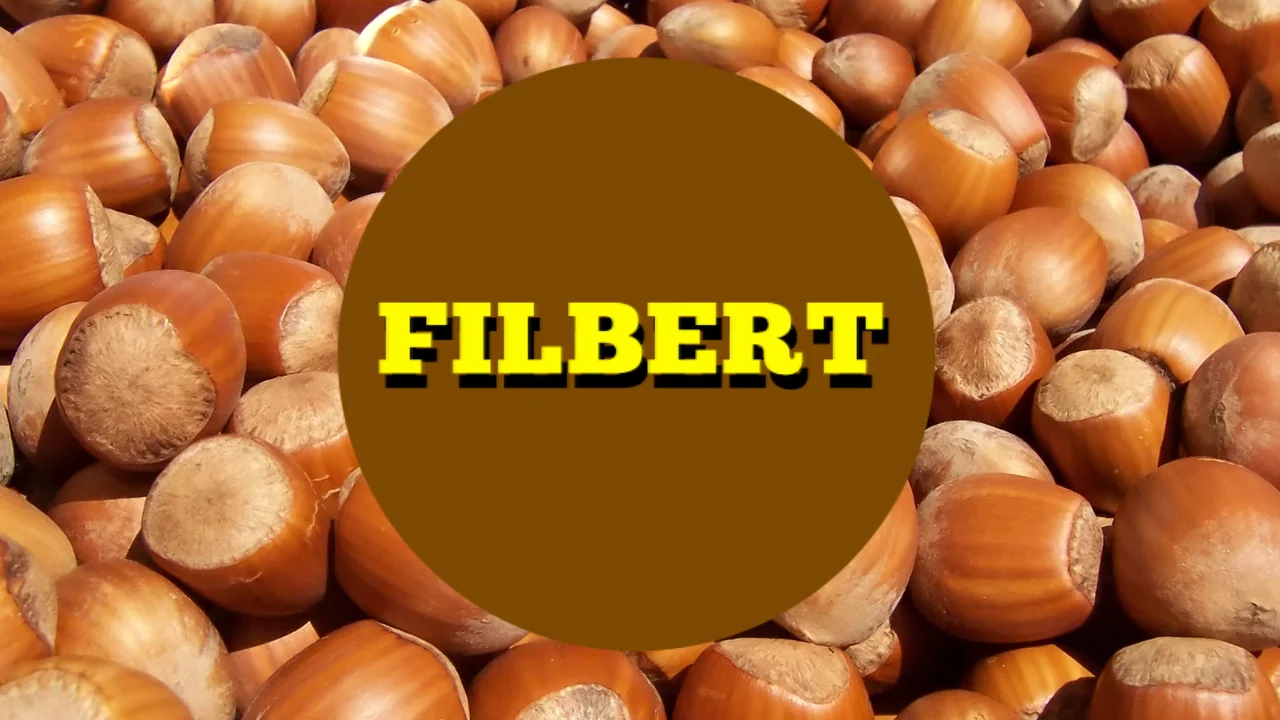 Filbert Name Promo 4 on Vimeo