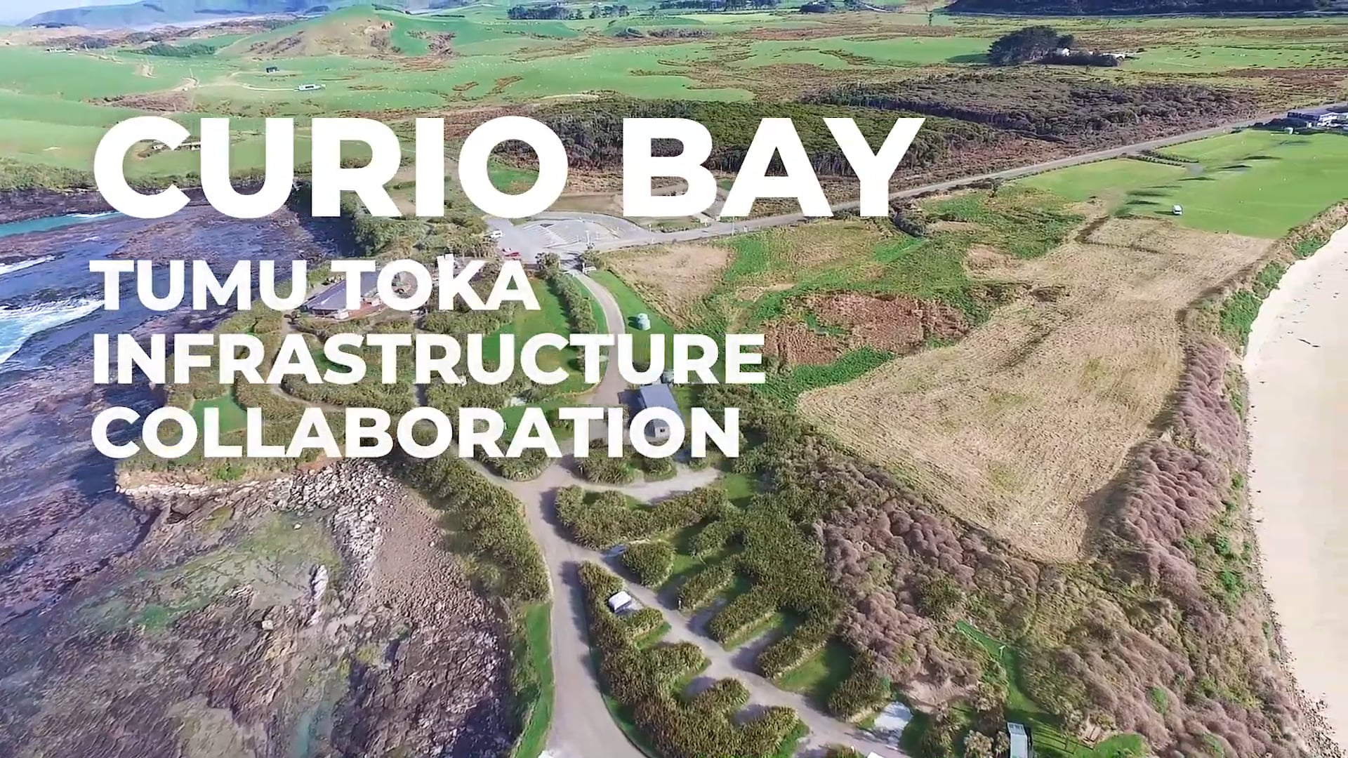 Curio Bay Tumu Toka Collaboration