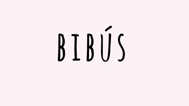 Bibús