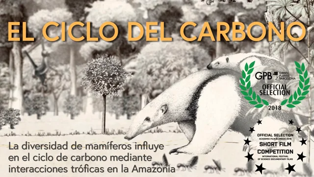 Actividad  Cartel del Ciclo del Carbono