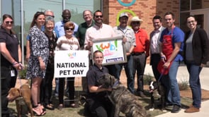 Waco Animal Shelter - Business of the Month