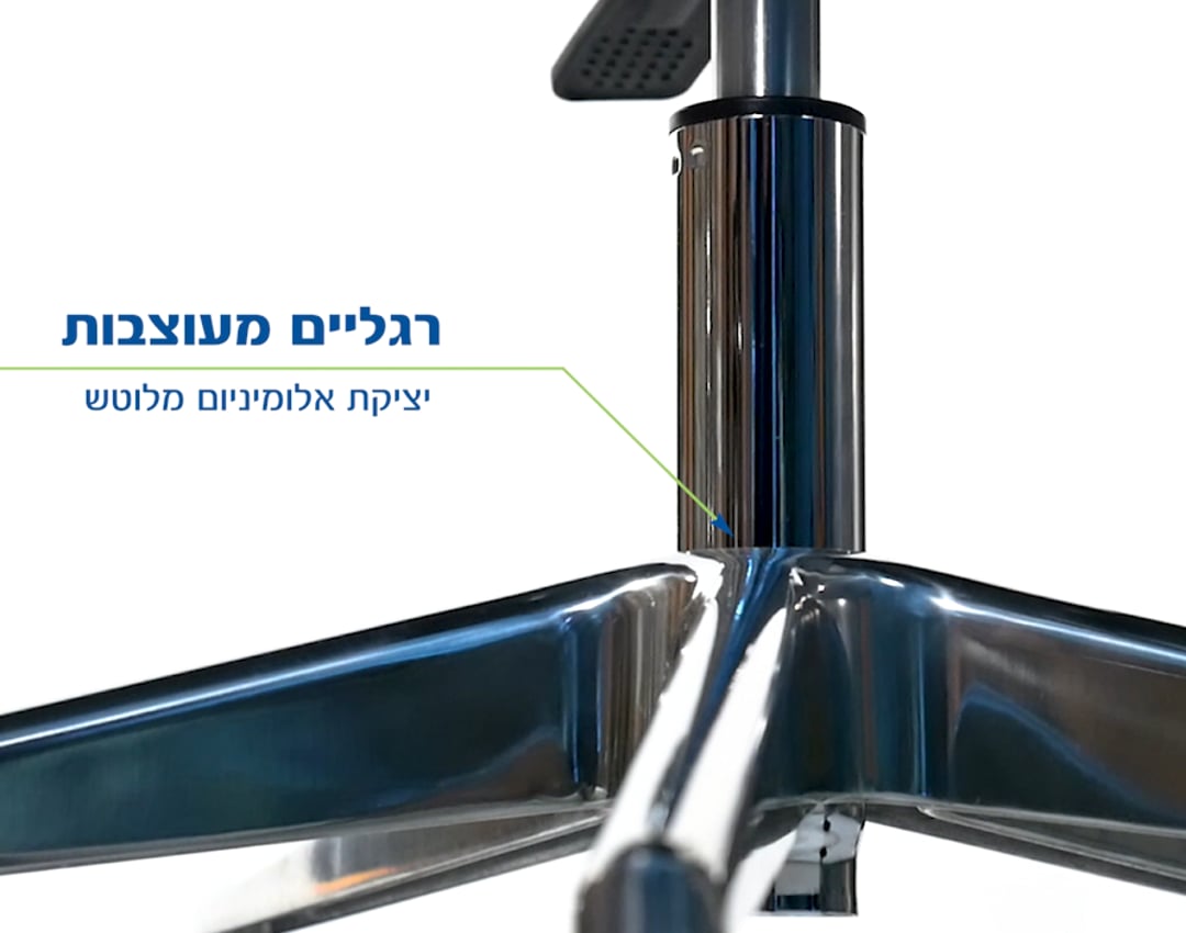 כסא מנהלים ומנהלות DOUBLE BACK