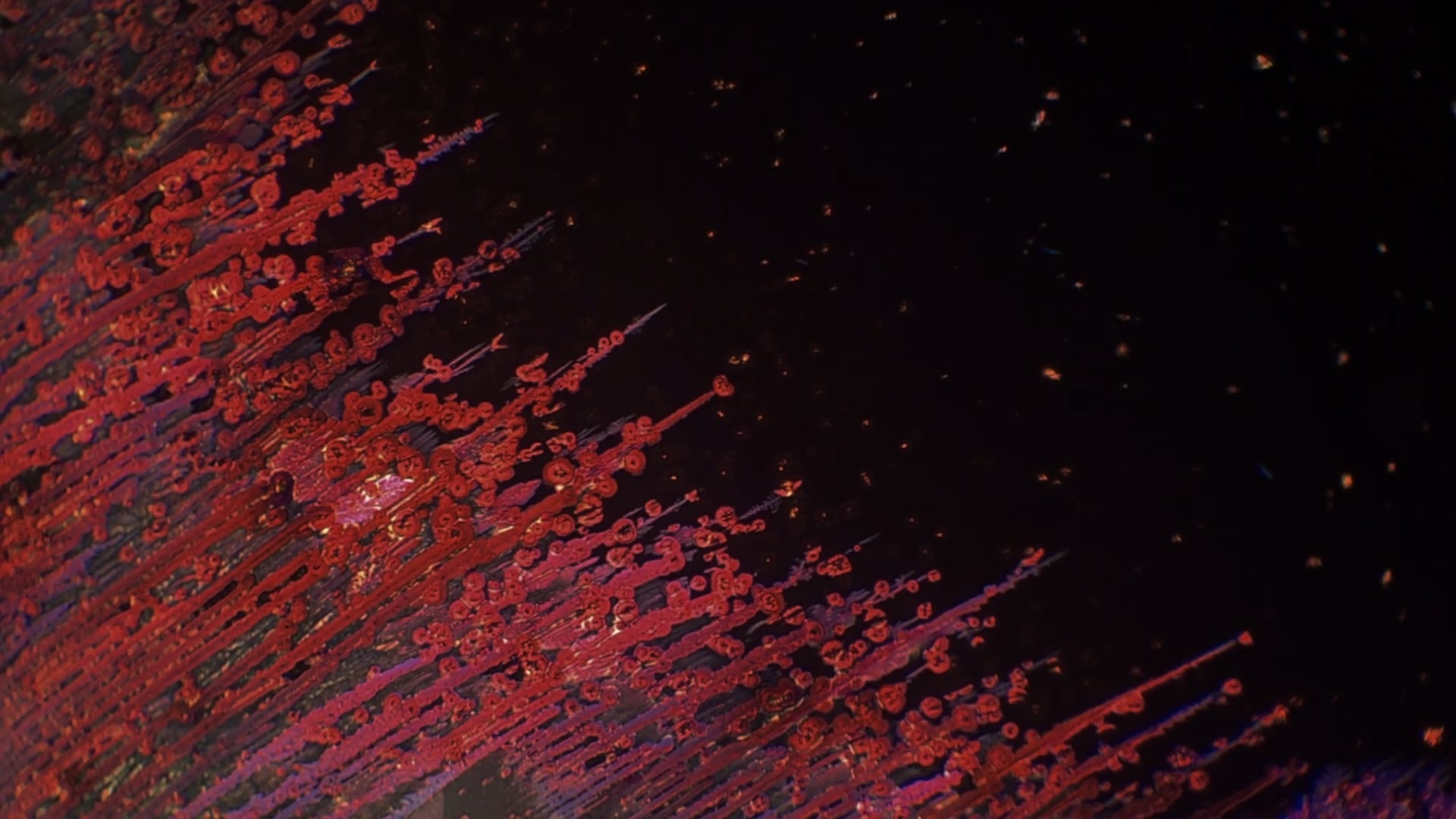 The hidden life of crystals