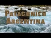 Patagonico Argentina