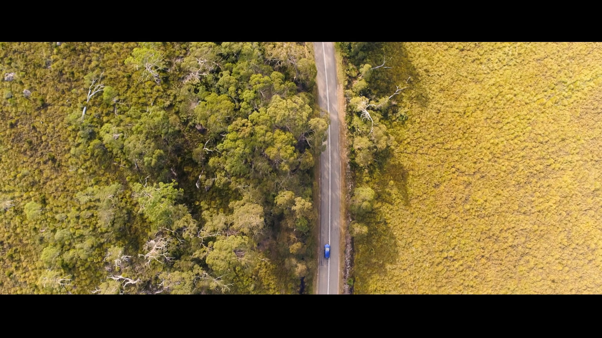 Western Wilds - Touring Tasmania's west
