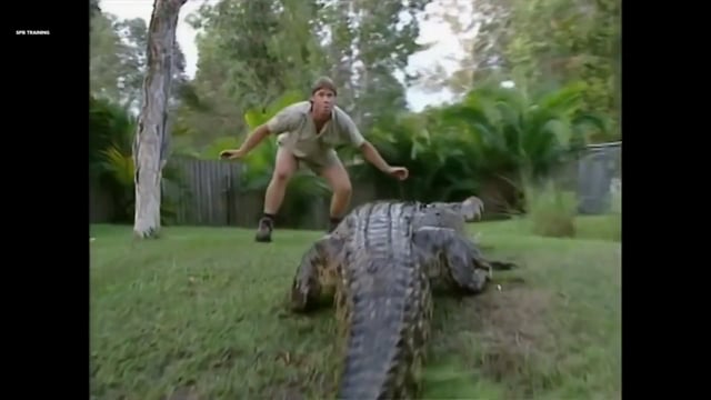 Спиральная динамика наглядно_ Желтый уровень. Людмила Морозова (1)