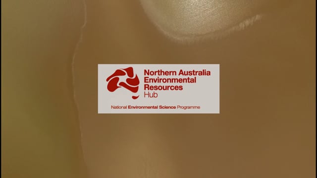 Gulf of Carpentaria river research