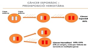 Conferència: Càncer hereditari: què és i quan cal consultar