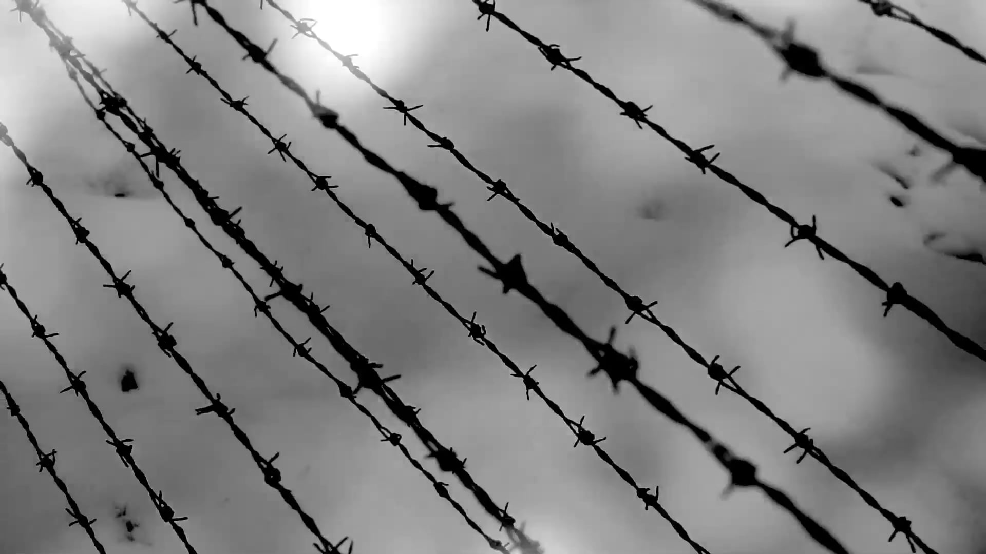 Vidéo-poème Auschwitz