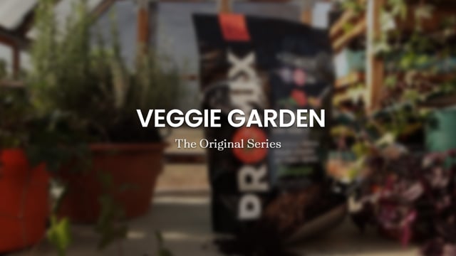 Branded Series | From the Garden Shed w. Owen Reeves / Veggie Garden | Client: Premier Tech Home & Garden