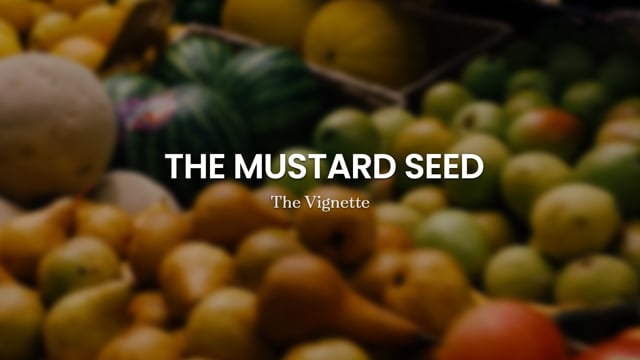 Public Relations | The Mustard Seed Co-Op | Client: Living Wage Hamilton