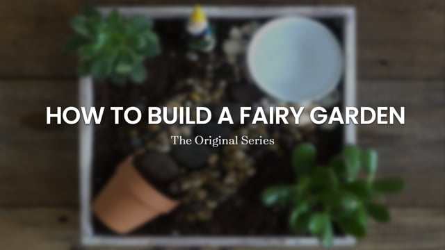 Pro-Mix - How to Build a Fairy Garden