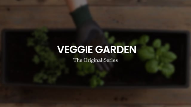 Pro-Mix - Veggie Garden