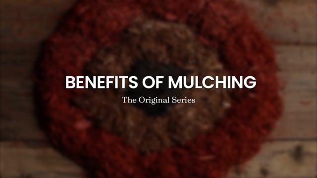 Branded Content | Benefits of Mulching | Client: Premier Tech Home & Garden