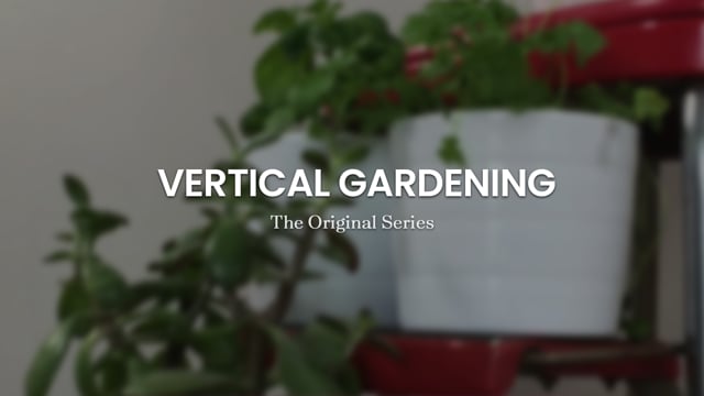 Branded Content | Vertical Gardening | Client : Premier Tech Home & Garden