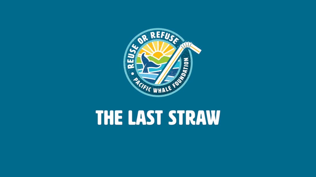 The Last Straw Pacific Whale Foundation